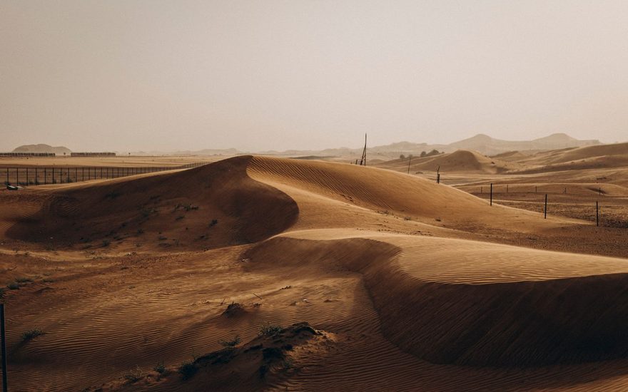 Sand dunes on the edge of Abu Dhabi